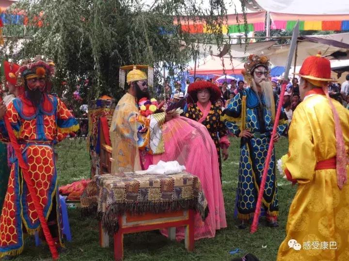 雪山上的红牡丹,藏族雪山上的红牡丹