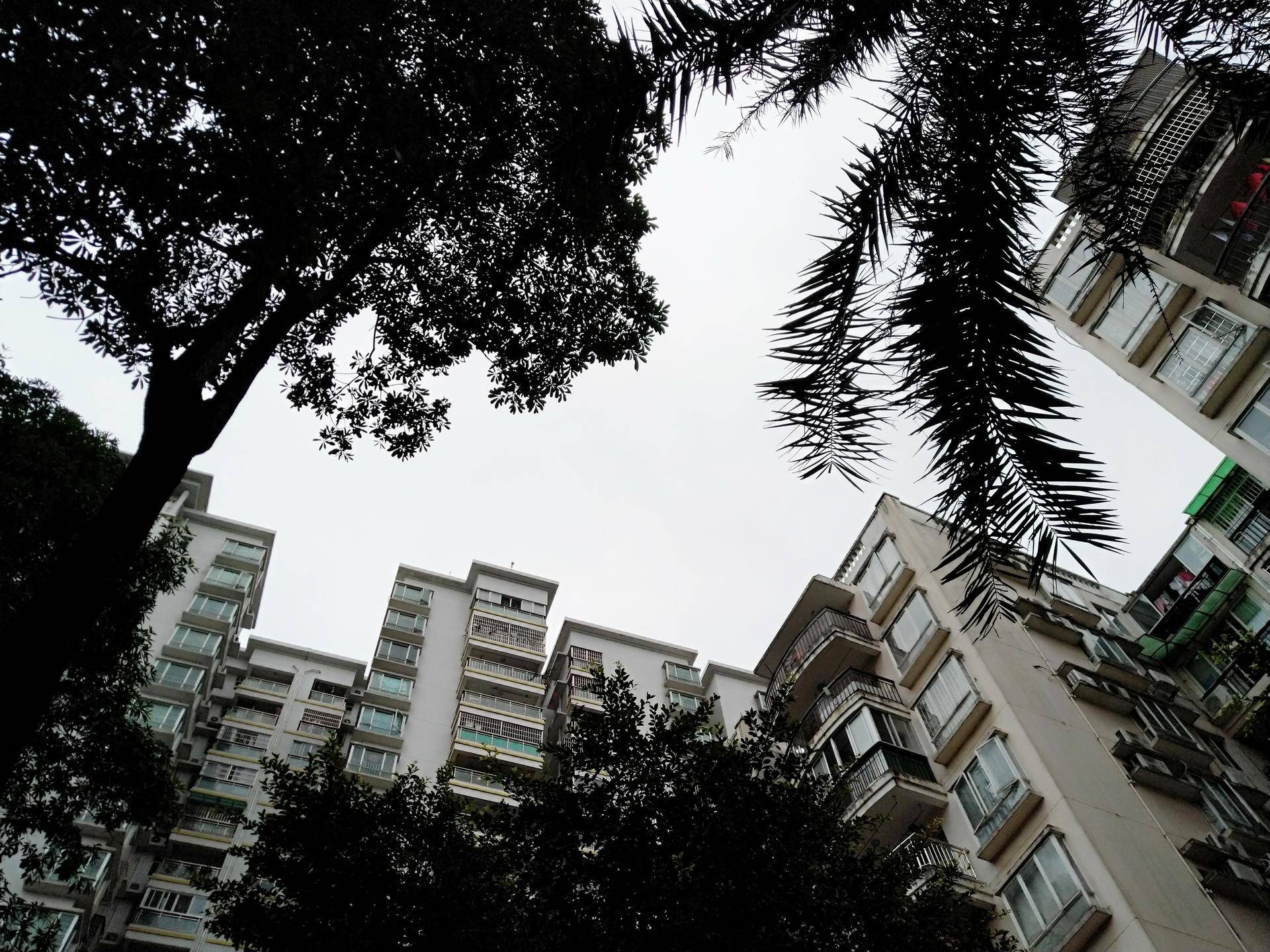 锤子坚果pro2深度体验,锤子坚果pro2上手测评