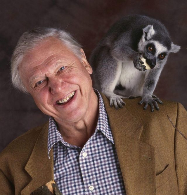 大卫爱登堡60年,大卫爱登堡中国