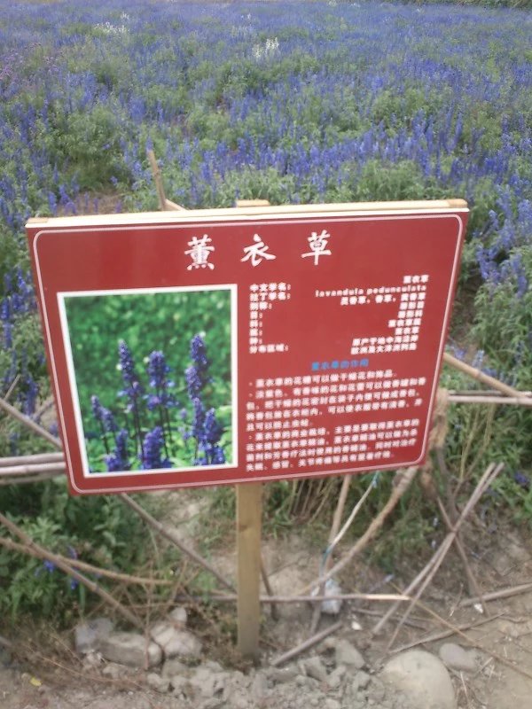 郫都区附近的农家乐和休闲农庄,郫都妈妈农庄照片