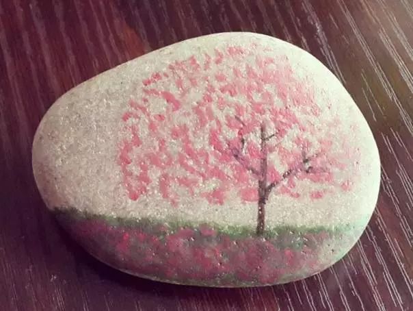 百万葵园一日游门票,葵园免费门票景点