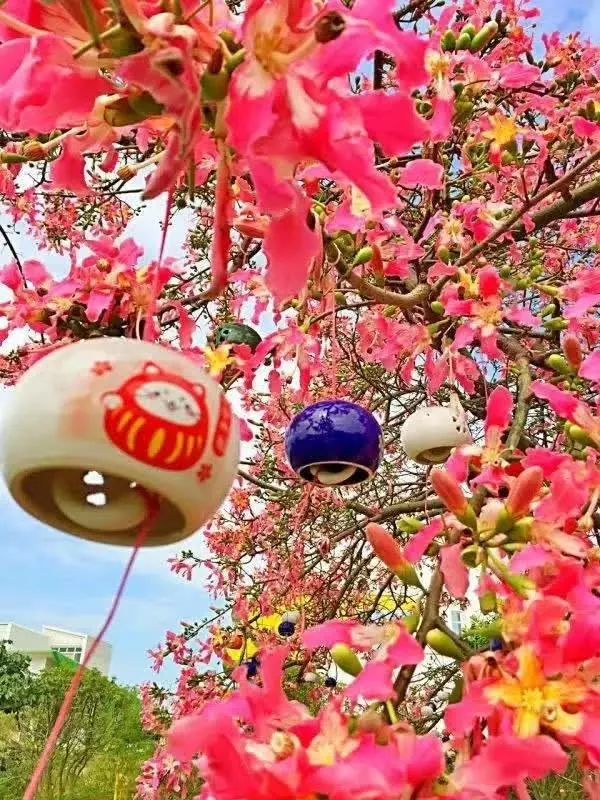 百万葵园一日游门票,葵园免费门票景点