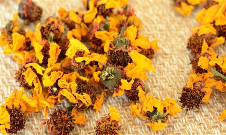 雪菊功效,雪菊能养颜吗