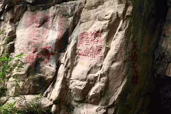 板栗树林旅游攻略,陕西板栗之乡风景图