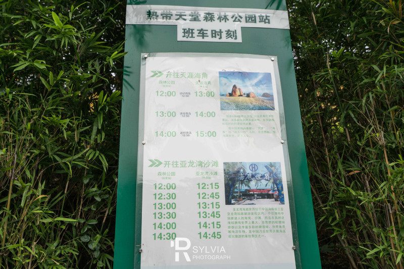 春节去三亚避寒攻略,冬天来三亚避寒