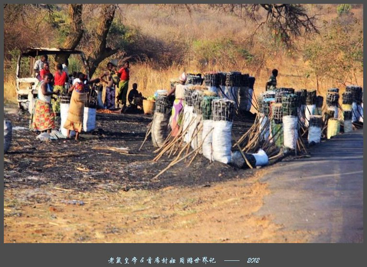 娲ュ反甯冮煢鎶楄闈炴硶鍒惰,娲ュ反甯冮煢涓轰粈涔堣鍒惰