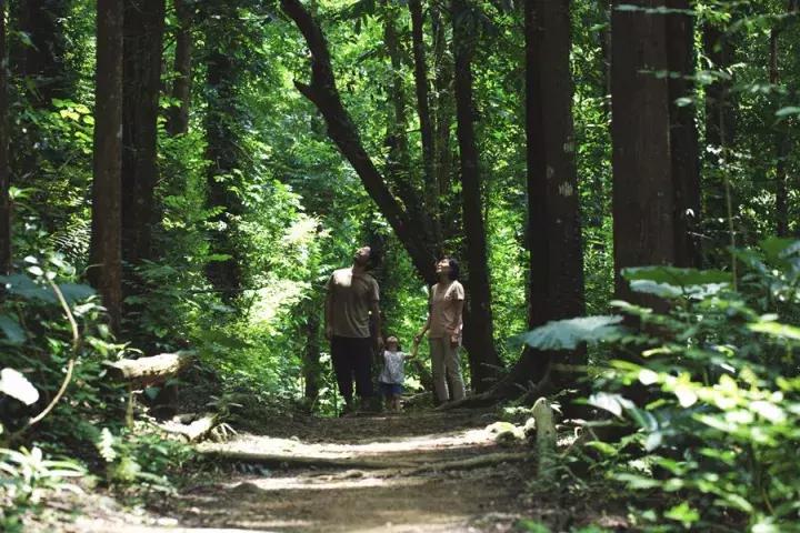 客家经典民宿,这里是一间极具岭南特色的民宿