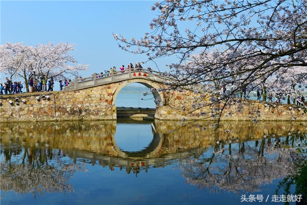 华东地区最好的区,华东10大城市排名