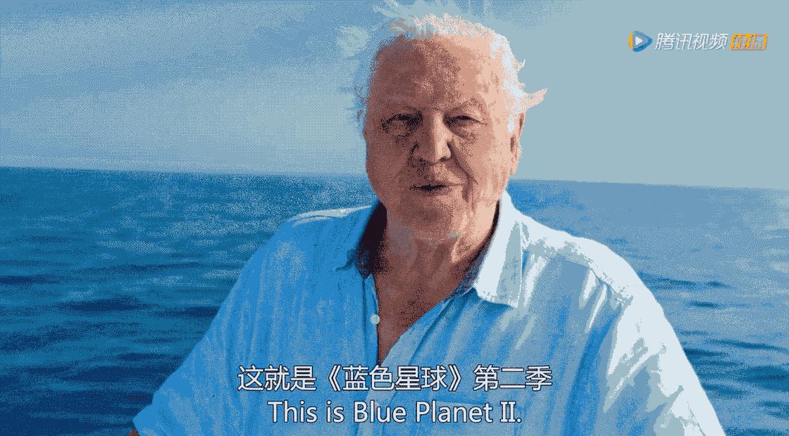 大卫爱登堡60年,大卫爱登堡中国