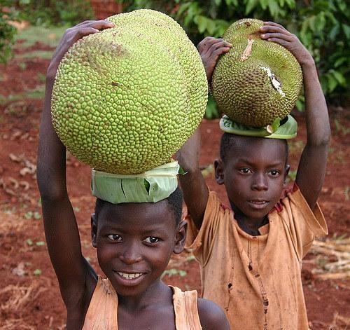 阿刚美食记,阿刚美食家常菜
