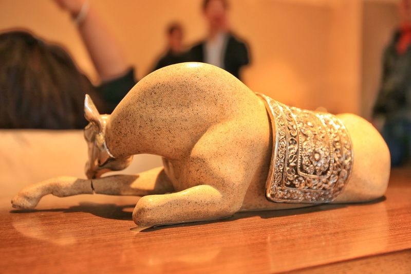 吃货福利顺德豉油鸡,吃货福利餐馆必备