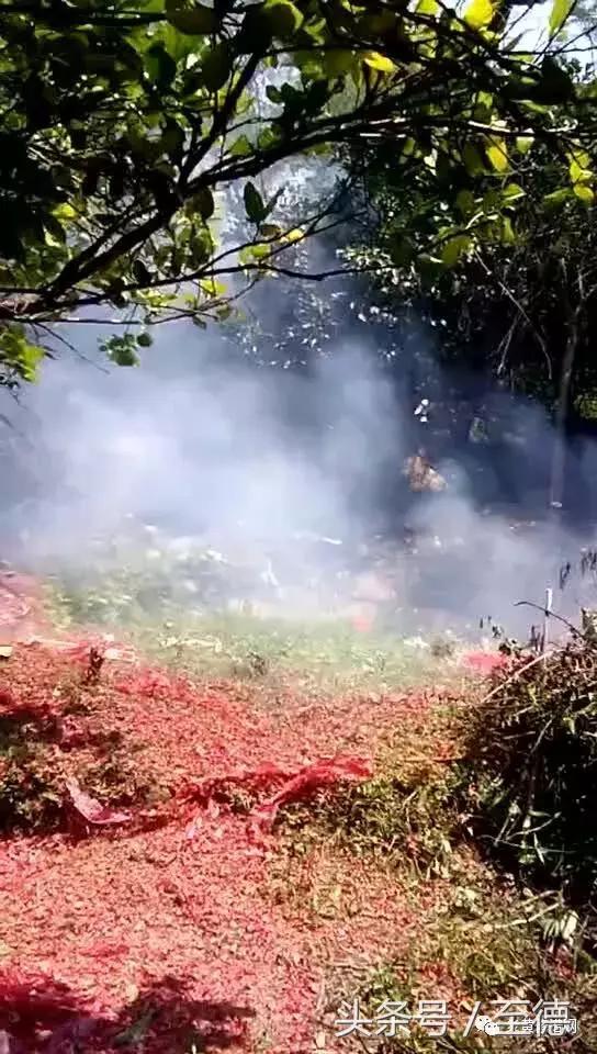 三省五地吴氏建立逸创三郎公宗族机构倡议修缮祖墓