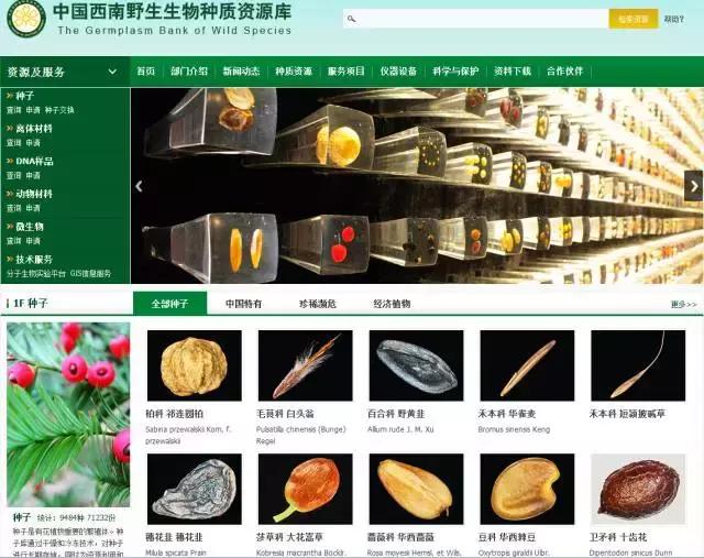 给未来“留种”!他们建的这个库是我见过最酷的