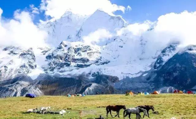 给未来“留种”!他们建的这个库是我见过最酷的