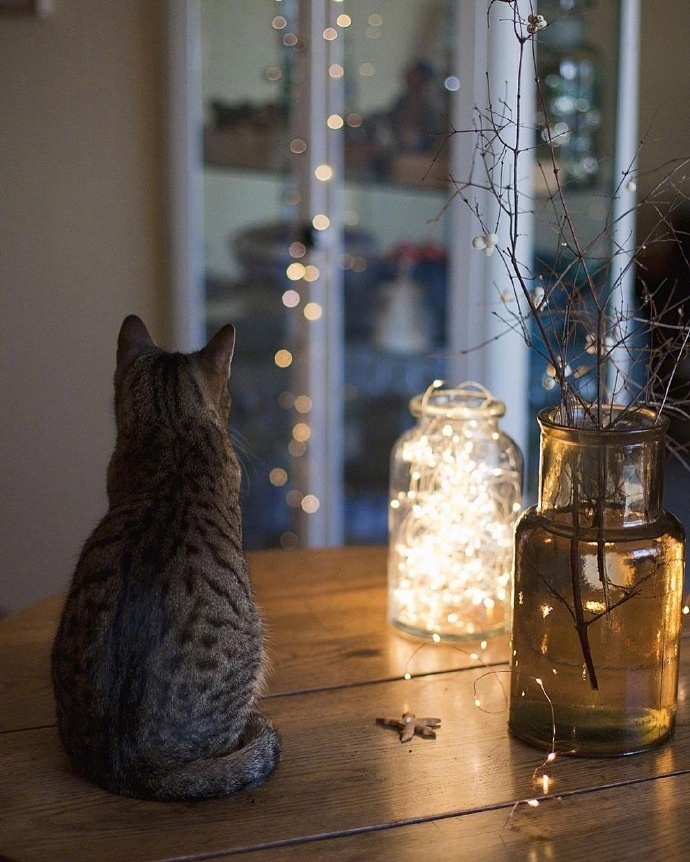 栗子姐情感问答完整视频,栗子姐情感咨询视频