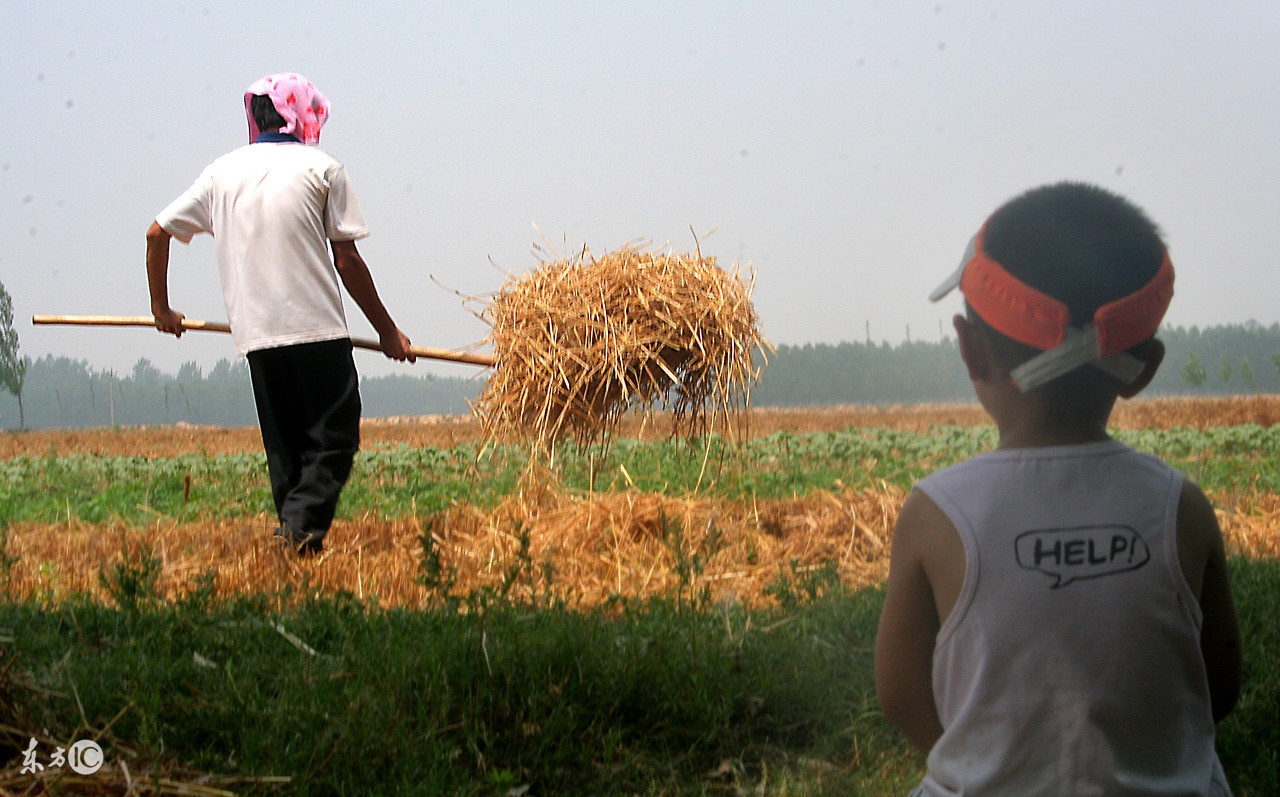 丈母娘住我家里好吗,丈母娘住在我家好吗
