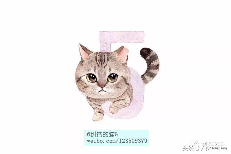 北京｜爱猫却不能亲近，于是她画出了一群萌猫