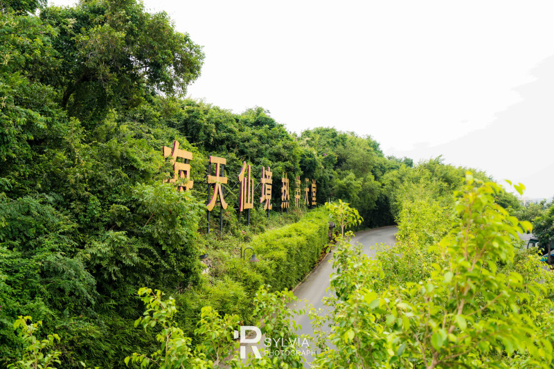 春节去三亚避寒攻略,冬天来三亚避寒