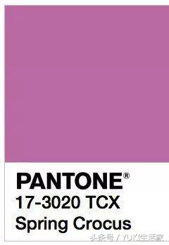 pantone2018,pantone2018年流行色是什么