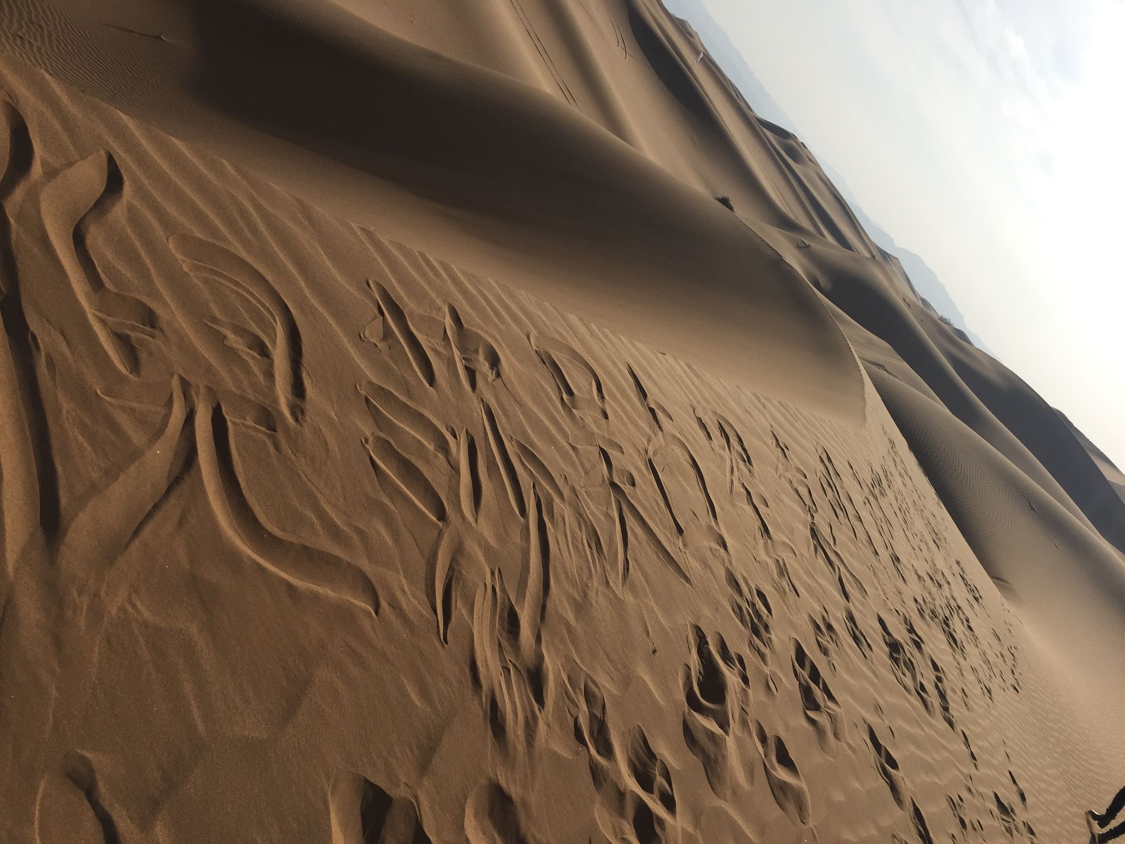 假期突如其来的快乐,一次突如其来的惊喜