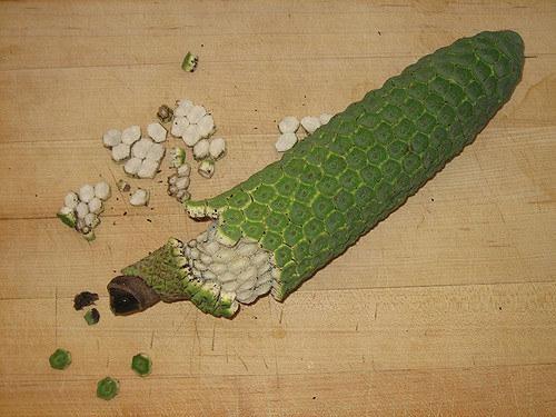 阿刚美食记,阿刚美食家常菜