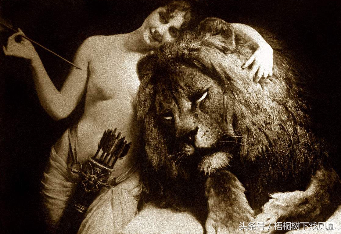 墓摆石狮子与家摆区别,石狮摆放门口惹众怒