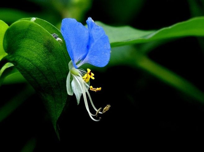 搬新家去甲醇，知道方法可别忽略了到底怎么做