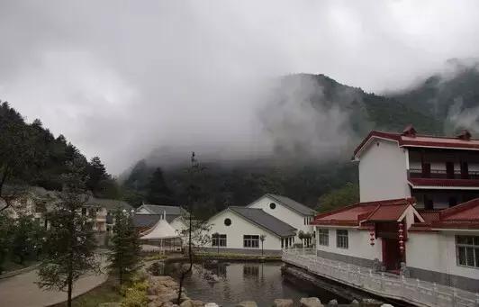 板栗树林旅游攻略,陕西板栗之乡风景图