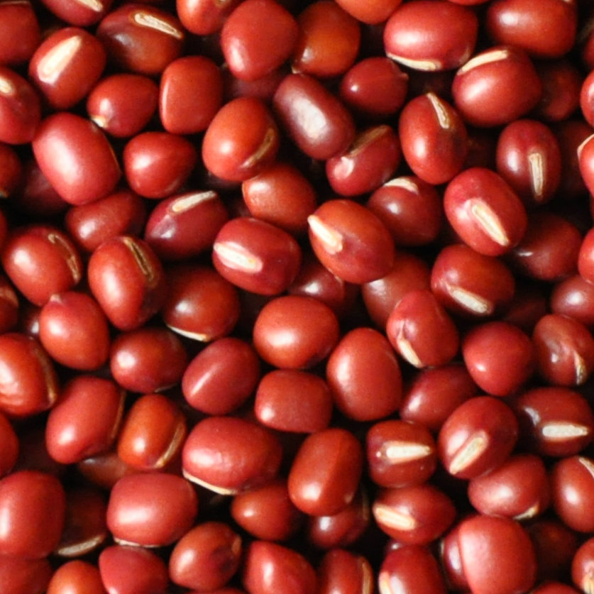 红豆不仅寄相思，还有五大好处