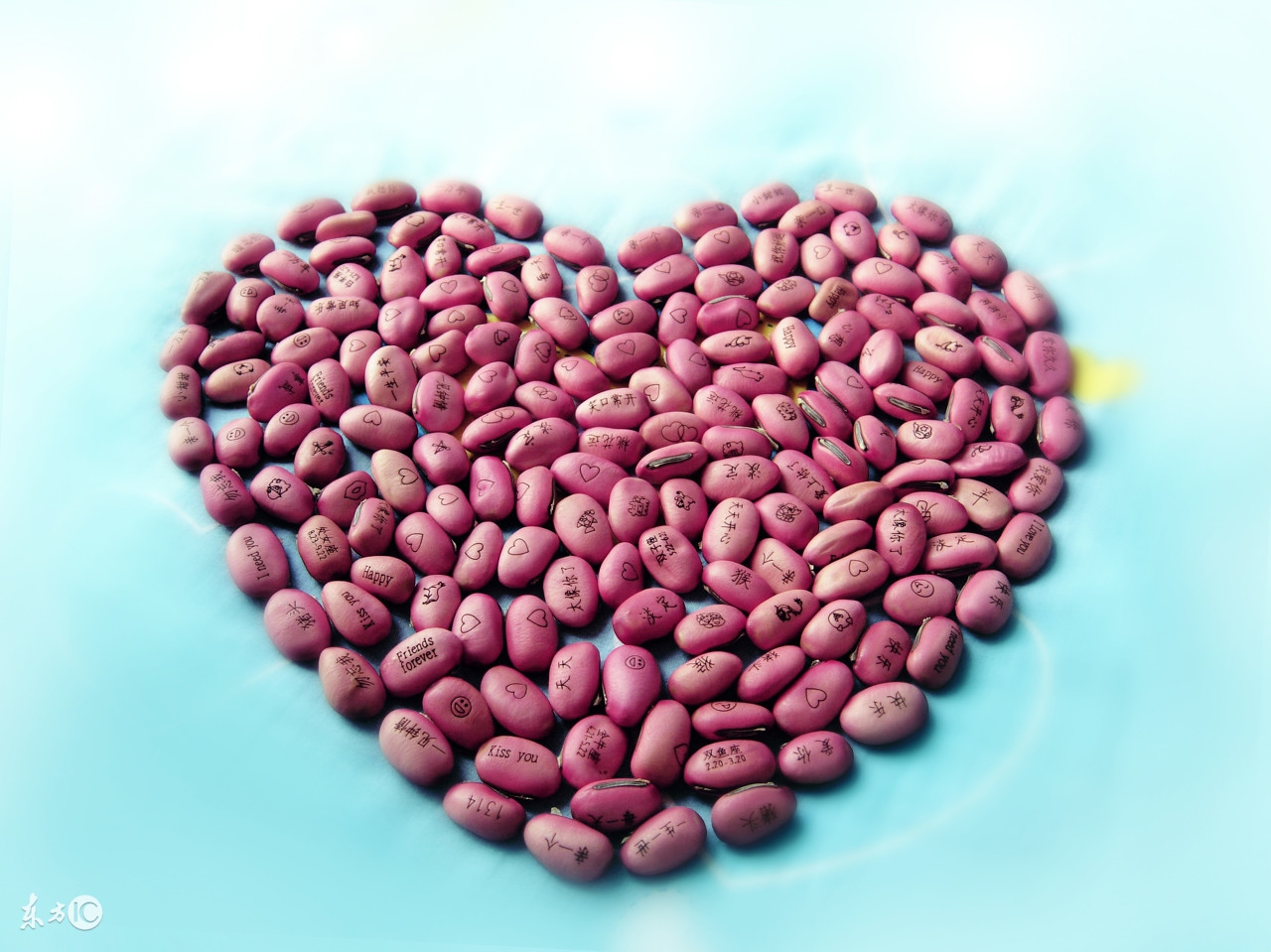 红豆不仅寄相思，还有五大好处