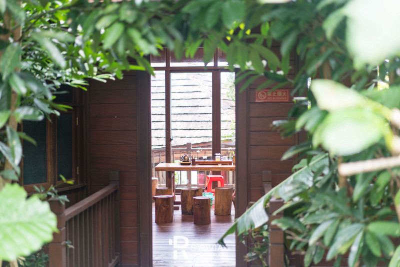 春节去三亚避寒攻略,冬天来三亚避寒