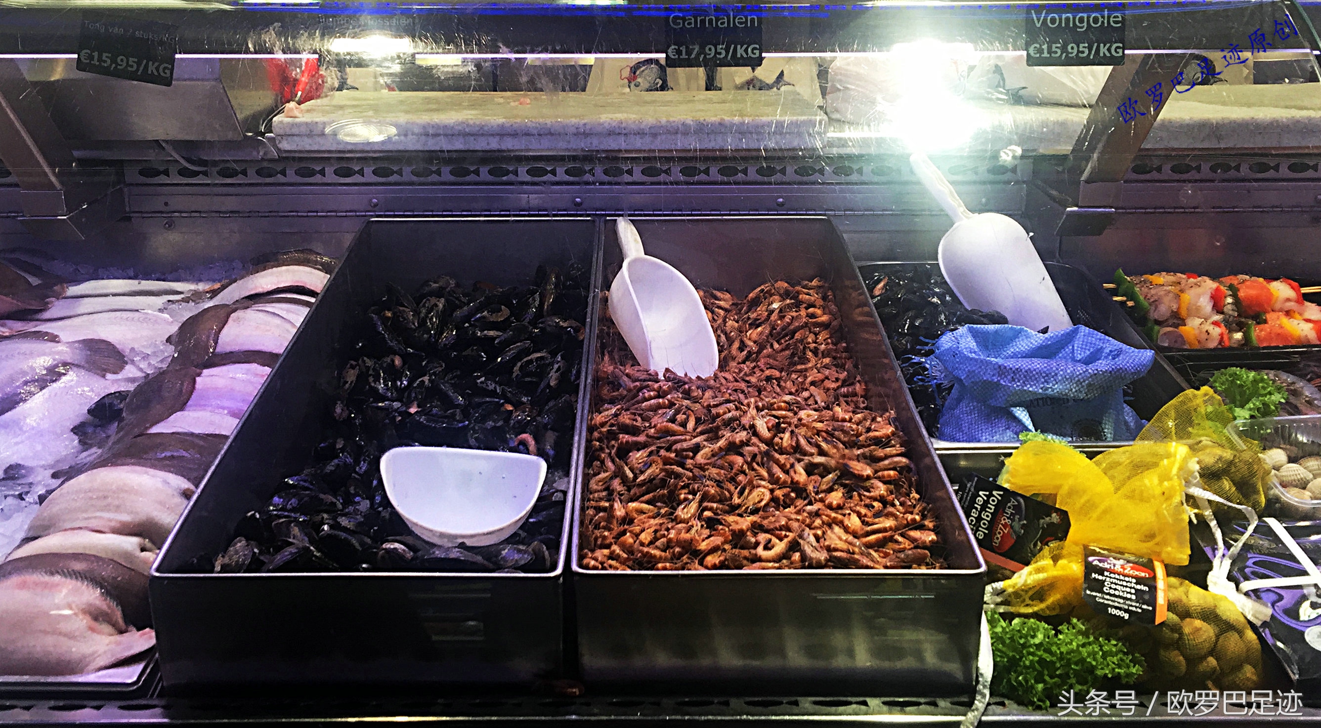 中国厨子邂逅欧洲小镇海鲜市,不认识的鱼炖起来也不手软