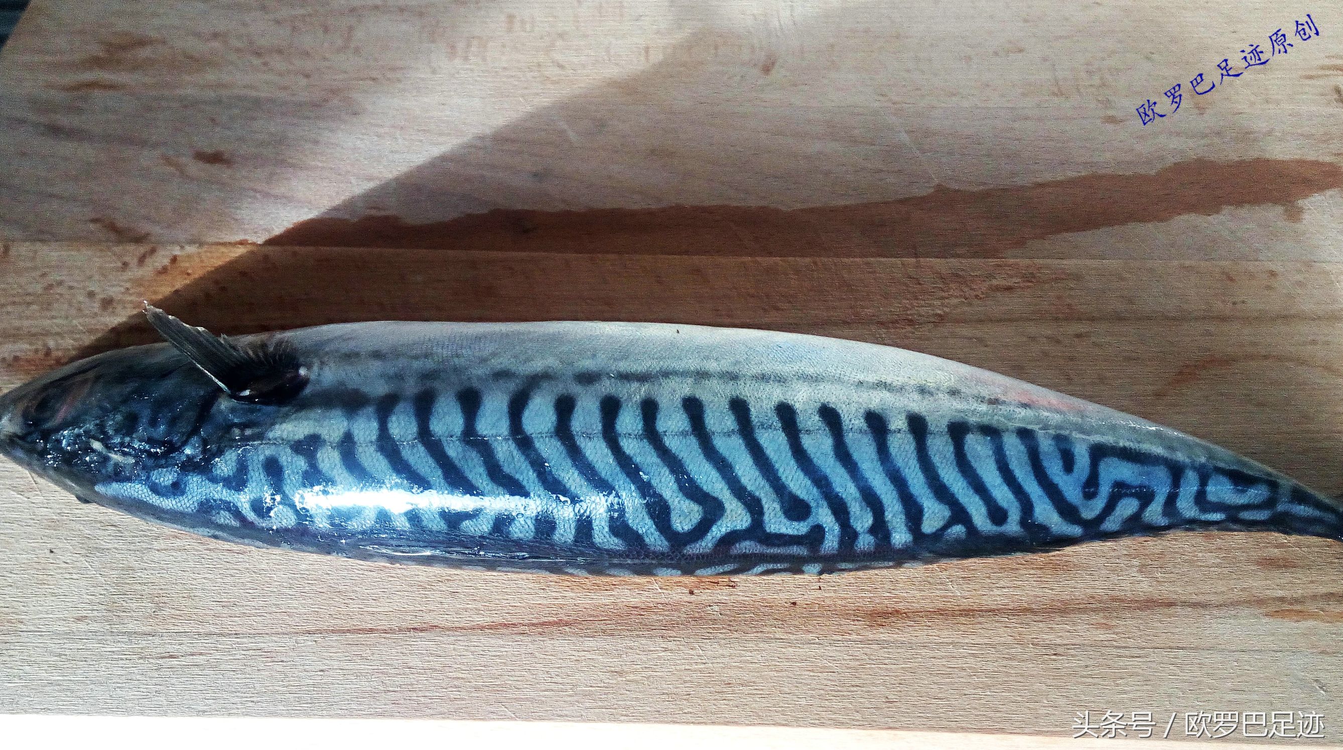 中国厨子邂逅欧洲小镇海鲜市,不认识的鱼炖起来也不手软