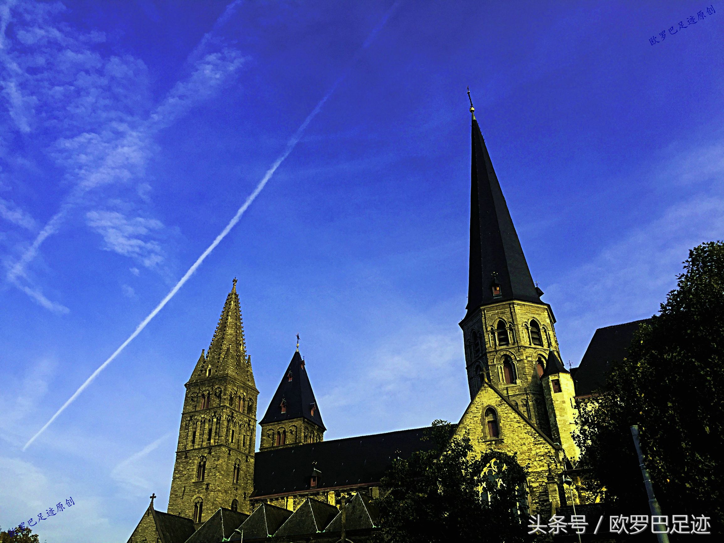 中国厨子邂逅欧洲小镇海鲜市,不认识的鱼炖起来也不手软