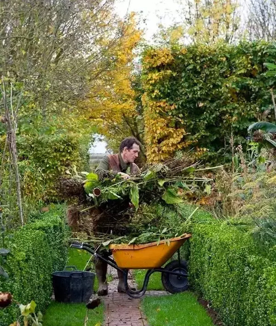 园艺的工具了解种类与用途,园艺对人的好处