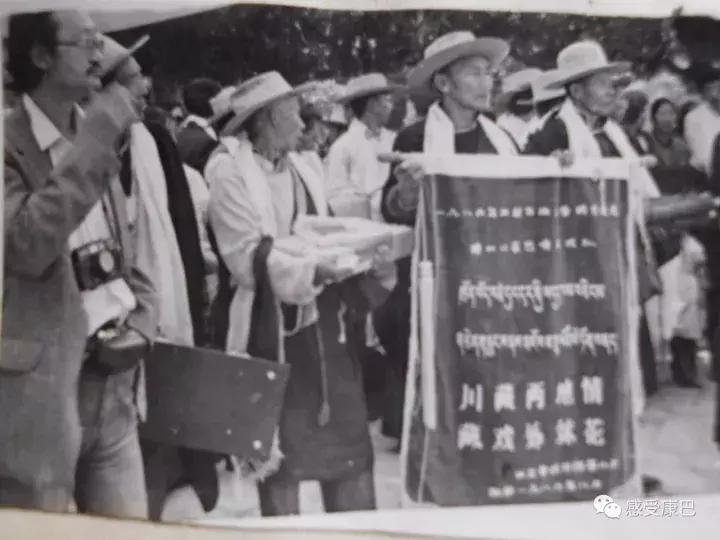 雪山上的红牡丹,藏族雪山上的红牡丹