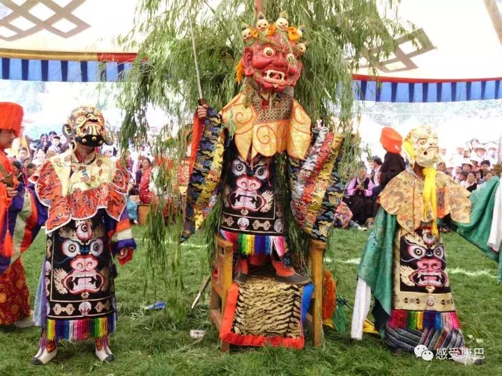 雪山上的红牡丹,藏族雪山上的红牡丹