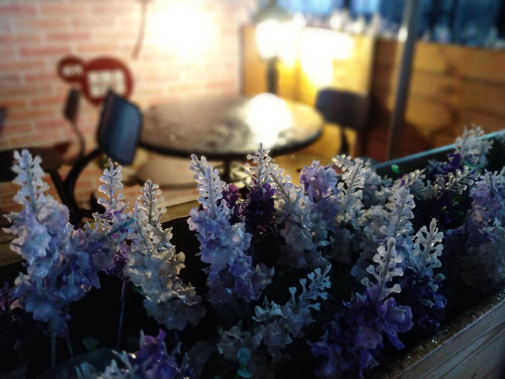 锤子坚果pro2深度体验,锤子坚果pro2上手测评