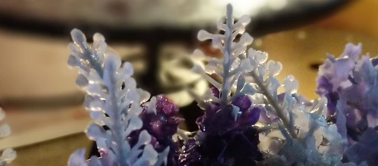 锤子坚果pro2深度体验,锤子坚果pro2上手测评