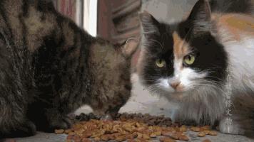 推荐15部涨知识的国产纪录片,国产纪录片评分排行榜前10名