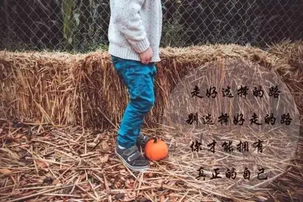 早上好问候语美图早上好的的说说