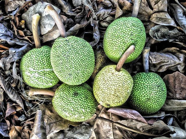 阿刚美食记,阿刚美食家常菜