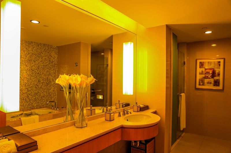 吃货福利顺德豉油鸡,吃货福利餐馆必备