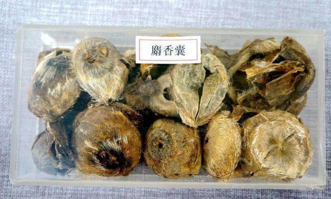 目前最好的钓鱼药酒配方,钓鱼人小惠同款药酒