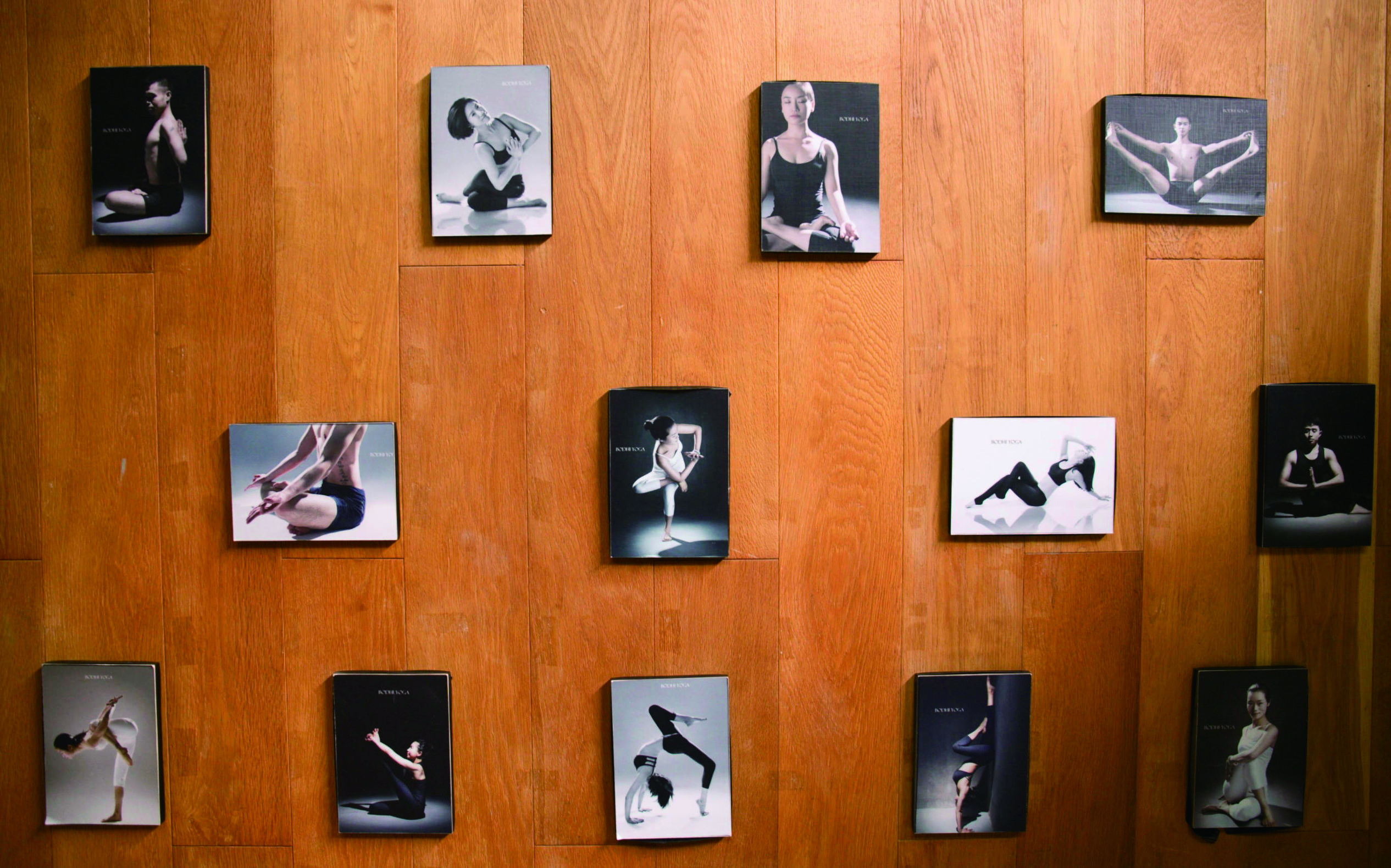 榜样｜上海菩提瑜伽：美是得天独厚