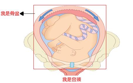 产科医生夜班,产科心酸的夜班
