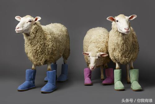 ugg羊毛靴踢不烂,ugg雪地靴都是皮毛一体的吗