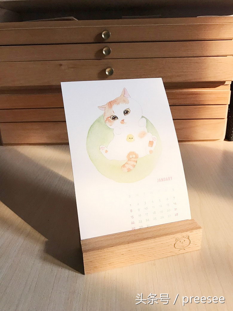 北京｜爱猫却不能亲近，于是她画出了一群萌猫