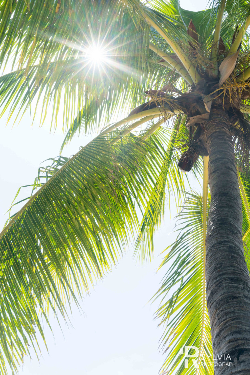 春节去三亚避寒攻略,冬天来三亚避寒