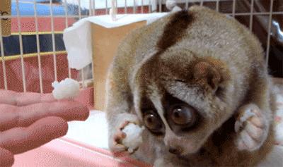 小姐姐你系完鞋带就快起来吧，都被人给看光，你长的好看才提醒你